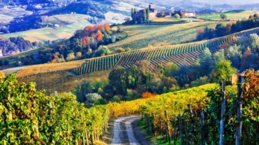5 Day Luxury Foodie tour