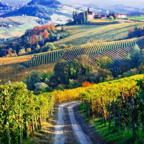 5 Day Luxury Foodie tour