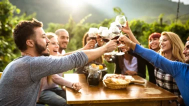 Wine Tour Guide: Tasting the Best Vineyards