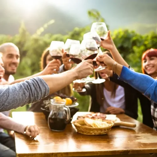 Wine Tour Guide: Tasting the Best Vineyards